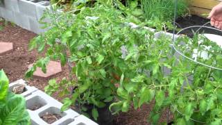 Concrete Block Raised Bed Garden [upl. by Fellows]