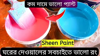 Interior Wall Hi Sheen Paint  Best Paint For Home [upl. by Tippets]