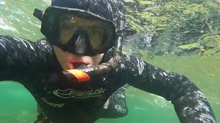 Snorkeling with Salmon Campbell River BC [upl. by Geminius466]