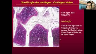 Histologia do Tecido Cartilaginoso – Parte 02 [upl. by Ttezzil]