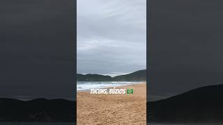 Praia de Tucuns 🇧🇷🇧🇷🇧🇷 beach brasil life [upl. by Powder62]