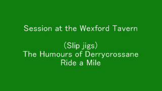 Slip jigs The Humours of Derrycrossane Ride a Mile  Session [upl. by Thissa160]