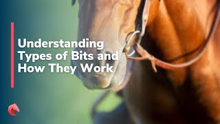 Understanding Types of Bits and How They Work [upl. by Roma596]