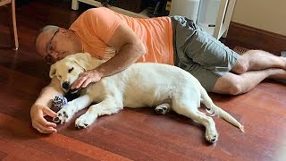 Dads Who Didn’t Want The Damn Dog In Their Lives 🤣 Funny Dog and Human [upl. by Cris]