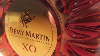 Cognac Review Rémy Martin XO [upl. by Stokes]