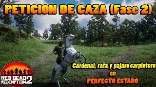 Peticion de caza fase 2 RED DEAD REDEMPTION 2  para completar el 100 del juego [upl. by Festa]