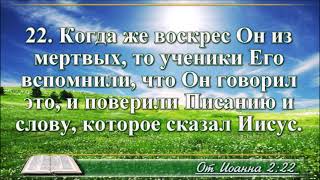 ВидеоБиблия Евангелие от Иоанна без музыки все главы читает Бондаренко [upl. by Nodnarg]