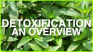 Detoxification an Overview [upl. by Aggi]