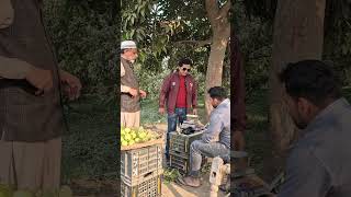 BATENGE TO KATENGE  बटेंगे तो कटेंगे ।। COMEDY  NIRWAN COMEDY CHACHA IQBAL COMEDY [upl. by Amoihc]