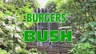 Burgers Zoo  Bush [upl. by Emawk]