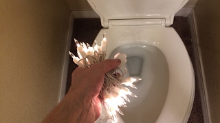 Flushing Some Christmas Holiday Lights Down The Toilet [upl. by Eno]