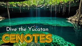 Exploring Hidden Wonders Yucatan Cenotes Adventure [upl. by Jariv650]