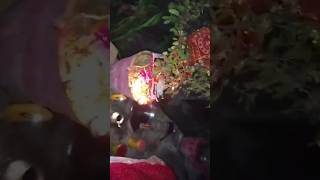 Easy Tulsi Vivah Vidhi Step by Step 2024 Tulsi Vivah Puja Vidhi shortsvideo [upl. by Barcus]