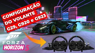 FORZA HORIZON 5 CONFIGURAÇÃO DO VOLANTE G29 G920 e G923 [upl. by Anifur567]