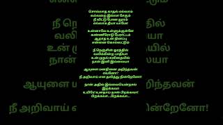 Sollatha kadhal song tamil lyrics Vanampadi paravaigal tamil love trending new song music [upl. by Chalmer]