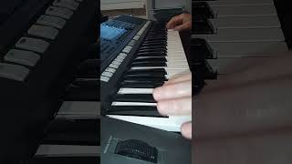 FRDavid Words dont come easy Cover on Yamaha PSR s 770 [upl. by Lagas871]