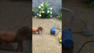 Mini motor pump science project mini tractor making cow water bathed  152 [upl. by Shirah331]