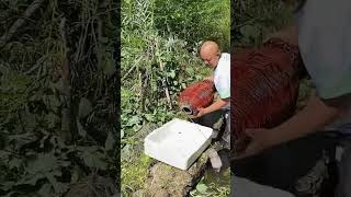 Bamboo cage trap ffish catching process Good tools and machinery can increase work efficiency [upl. by Herbert]