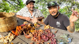 17 Edible Mushrooms I’ve Never Tried Foraging with Expert Mycologist  Nicaragua [upl. by Nivre823]