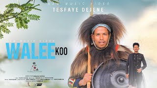 Tesfayee Dejene WALEEKOO New Ethiopian Afaan Oromo Music video 2024 Official Video [upl. by Drawdesemaj]