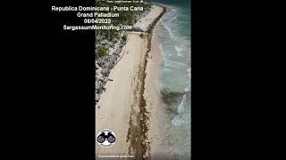 2023 Sargazo  Republica Dominicana  Punta Cana Grand Palladium [upl. by Nadean]