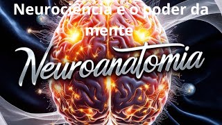 Retificado Como a Neurociência Transforma a Compreensão O Cérebro Criativo Neuroanatomia e Inovação [upl. by Ardnatal]