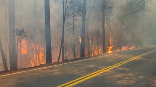 USA Fortschritte beim Kampf gegen „Parkfire“ in Kalifornien [upl. by Sailesh]