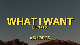 Lil Nas X  THATS WHAT I WANT Lyrics Shorts [upl. by Simon879]