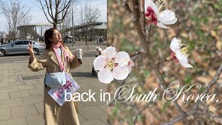 back in south korea 🌸 follow incheon good food and shopping [upl. by Keese155]