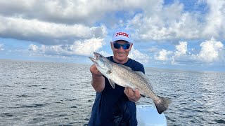 Limits of Big Trout on Flatboat Key [upl. by Enael]