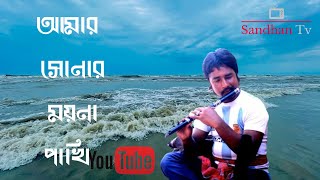 Amar Sonar Moyna Pakhi  আমার সোনার ময়না পাখি  flute cover  Sandhan Tv [upl. by Adnal949]