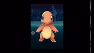 Pokemon Go  Nest in Charmander iOS [upl. by Allsopp]