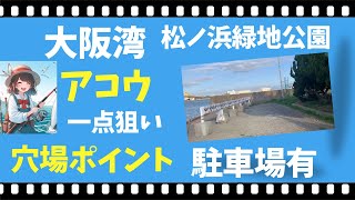 松ノ浜緑地公園 大阪湾でアコウ釣りたいならここ アジング 常夜灯 釣り場 アコウ 釣り場 穴場 [upl. by Aibun]