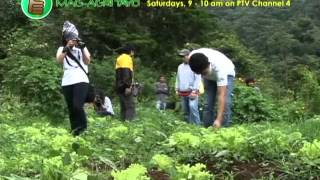 Community Organic FarmingAgroforestry Project Part 1 [upl. by Sumaes375]