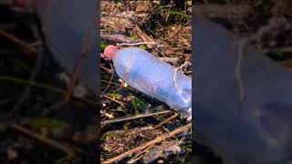 PLASTIC Pollution RAMSAR Ecosystems WHO is RESPONSIBLE [upl. by Moazami]