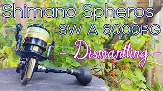 Shimano Spheros SW A 6000PG  Part 12 Dismantling  Reel service and maintenance [upl. by Peltz925]