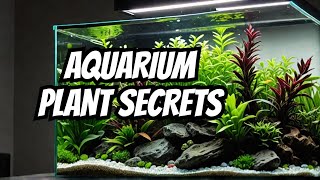 Top 21 Low Light Plants For Aquariums 🌿 [upl. by Dajma457]