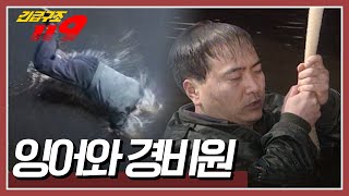 퇴근 중이 공사장 경비원 강에 쳐져있는 그물 속에서 잉어를 발견하는데 긴급구조 119 KBS 970415 방송 [upl. by Golter277]