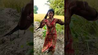 Goli itna maram kapaar mein bhojpuri newsong shortvideo [upl. by Gyatt676]