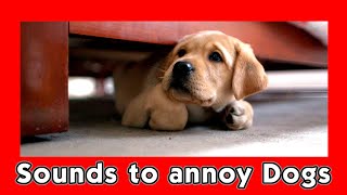 Sounds to Annoy Dogs  Sounds DOGS Hate [upl. by Onateag]