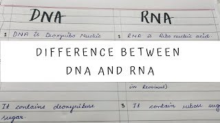 Difference between DNA and RNA 12th class BIOLOGY NCERT [upl. by Tterrej]