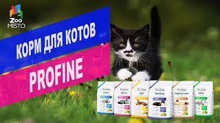 Корм для котов Profine  Обзор корма для котов Profine [upl. by Mel]