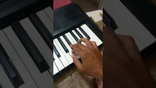 Casio keyboard lesson for beginners [upl. by Nanaj172]