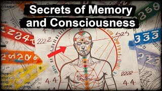 Memory and Secrets of Universal Consciousness [upl. by Leunamesoj739]