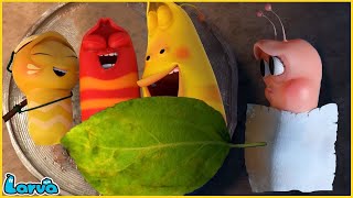 LARVA SEASON 3 EPISODE 416  520 🍟 NEST VERSION LARVA  MINI SERIES FROM ANIMATION LARVA [upl. by Haeluj441]