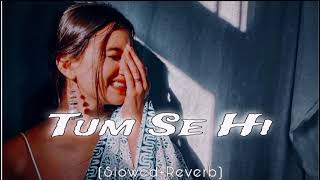 Tum Se Hi Din Hota Love Lofi Song  SlowedReverb [upl. by Fachini]