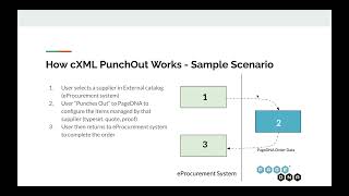 PageDNA eProcurement Integrations with cXML PunchOut [upl. by Clothilde]