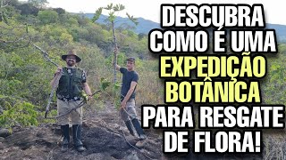 Expedição Botânica para Resgate de Flora  Jardim Botânico Inhotim  plantas [upl. by Kano]