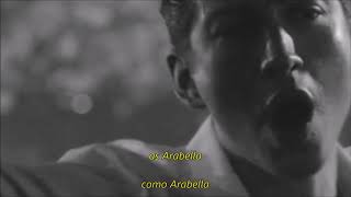 Arctic Monkeys  Arabella Sub Español  Lyrics Official Video [upl. by Annaihs]