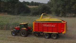 ENSILAGE DE MAÏS 2023 [upl. by Boylston]